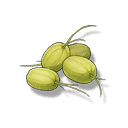 菱果