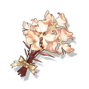 一束荚蒾