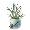 云茸草
